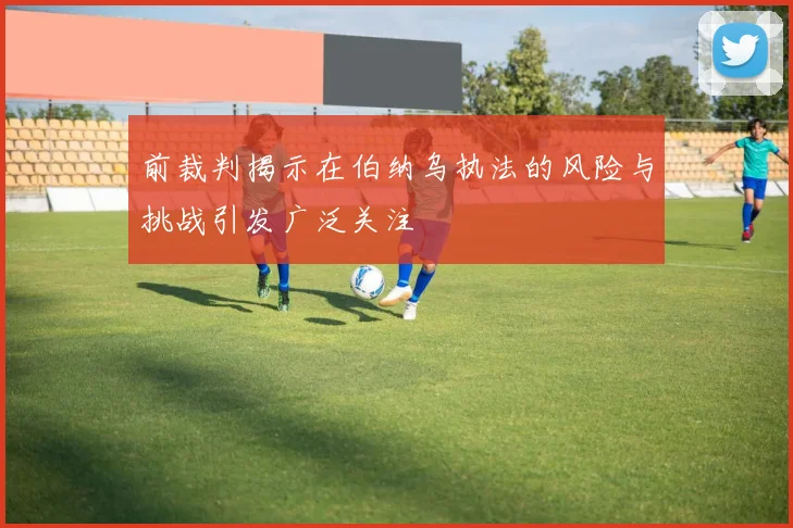 前裁判揭示在伯纳乌执法的风险与挑战引发广泛关注