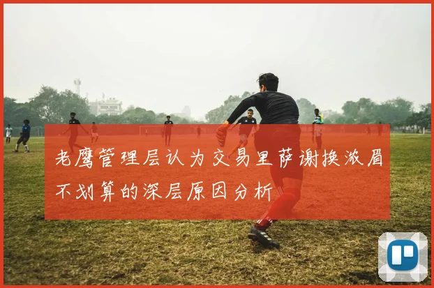老鹰管理层认为交易里萨谢换浓眉不划算的深层原因分析